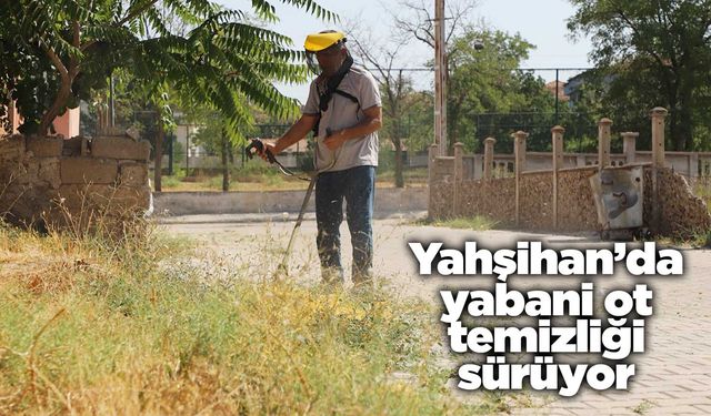Yahşihan’da yabani ot temizliği sürüyor