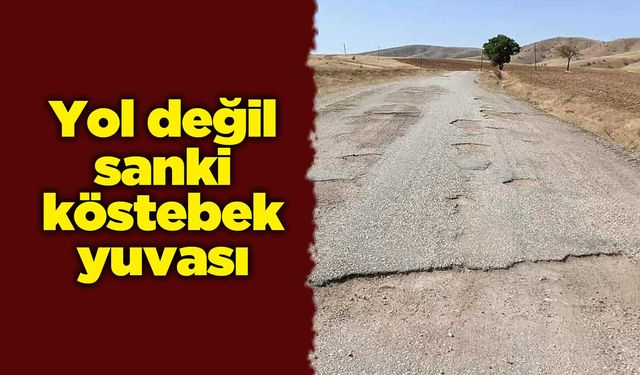 Yol değil sanki köstebek yuvası