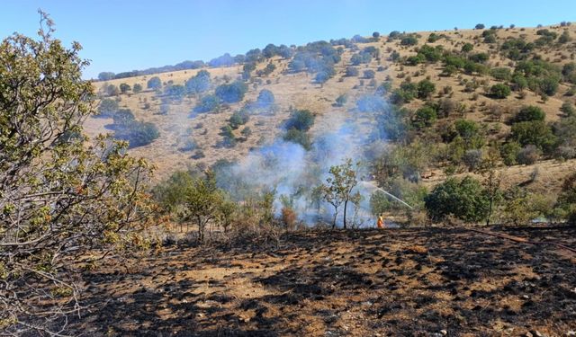 Makilik alanda çıkan yangın 15 dönüm alanda etkili oldu