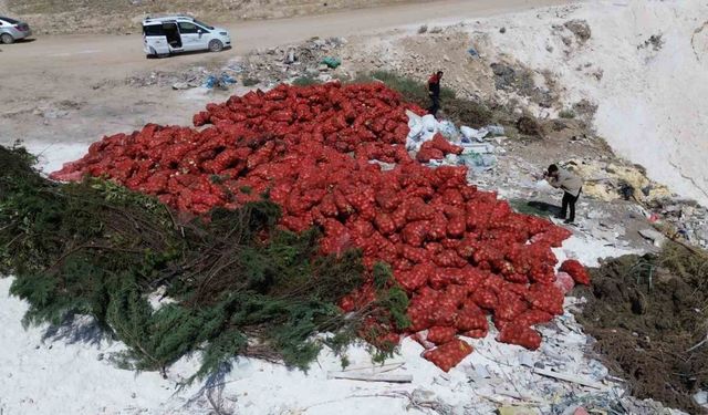 Tonlarca soğan, boş araziye atılmış halde bulundu