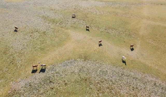 Üç zamanlı dron çekimi kuraklığı belgeledi: Gelingüllü Barajı alarm veriyor