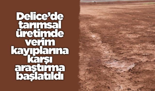 Delice’de tarımsal üretimde verim kayıplarına karşı araştırma başlatıldı