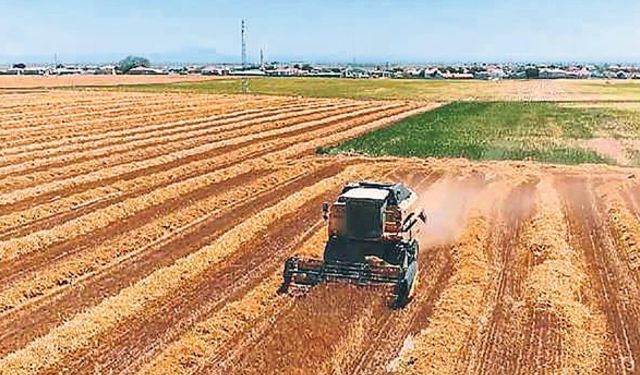 İşlenmeyen araziler kiralama modeliyle kırsal ekonomiye can verecek