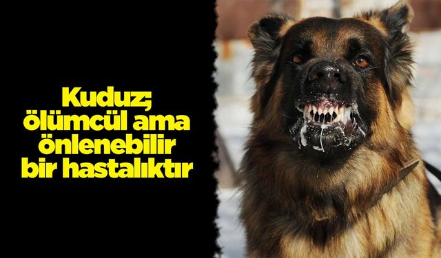 Kuduz; ölümcül ama önlenebilir bir hastalıktır