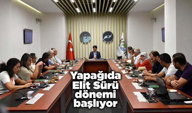 Yapağıda Elit Sürü dönemi başlıyor