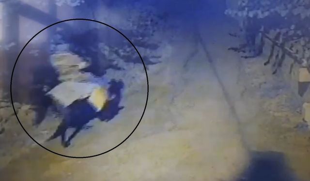 Atla geldi, yaşlı çifti öldürüp kaçtı