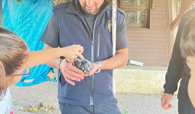 Boruya sıkışan kuşu itfaiye kurtardı