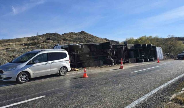 Devrilen tırdaki 2 inek telef oldu