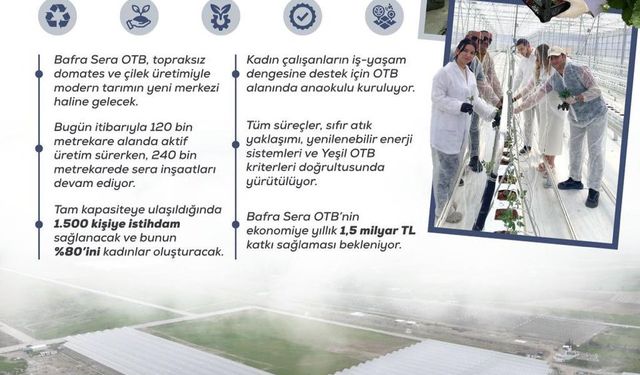 Kadın eliyle yeşeren tarım: Bafra Sera OTB, yıllık 1,5 milyar liralık katkı sunacak