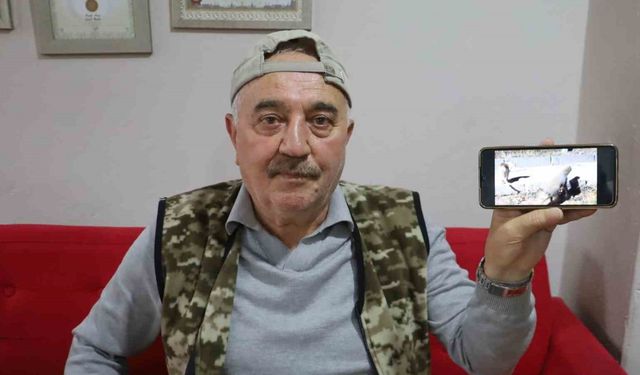 Kanka olan kedi ve tilki dikkat çekti