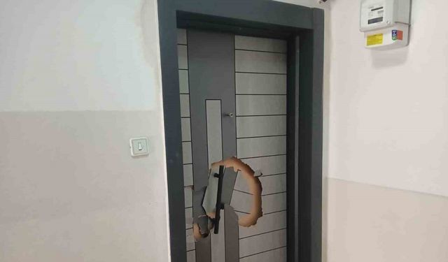 Komşu cinayetinin aileler arası husumet nedeniyle işlendiği iddiası