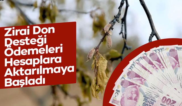 Zirai Don Desteği Ödemeleri Hesaplara Aktarılmaya Başladı
