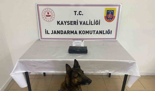 1 kilo 200 gram uyuşturucu yakalandı