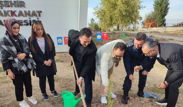 Fidanlar toprakla buluştu