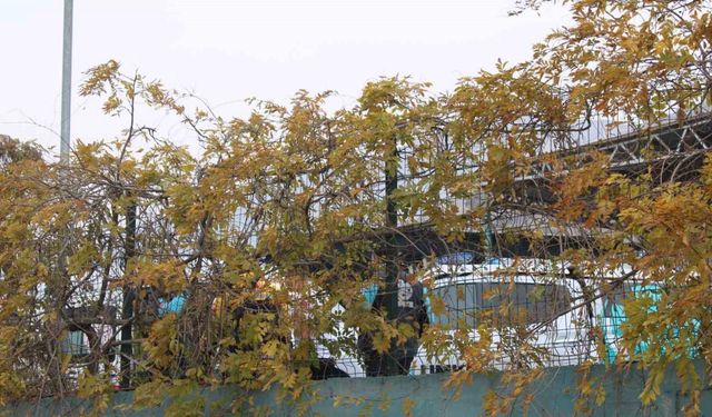 Geri dönüşüm tesisindeki koku ekipleri harekete geçirdi