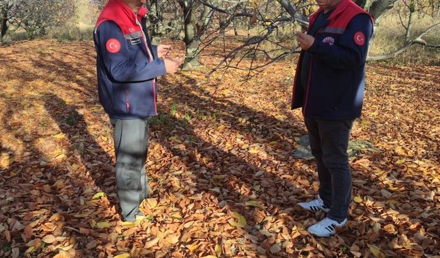 Kirazında saha incelemeleri devam ediyor