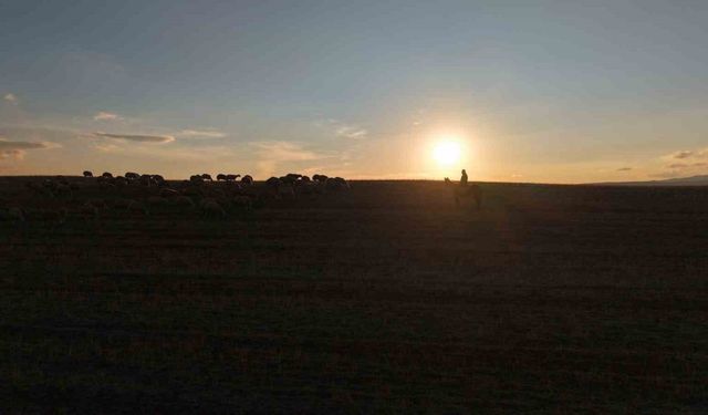 Medya dünyasından hayvancılığa: İstanbul stresini bırakıp köyde huzuru buldu