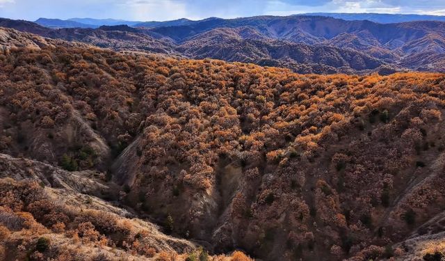 Mest eden sonbahar manzaraları