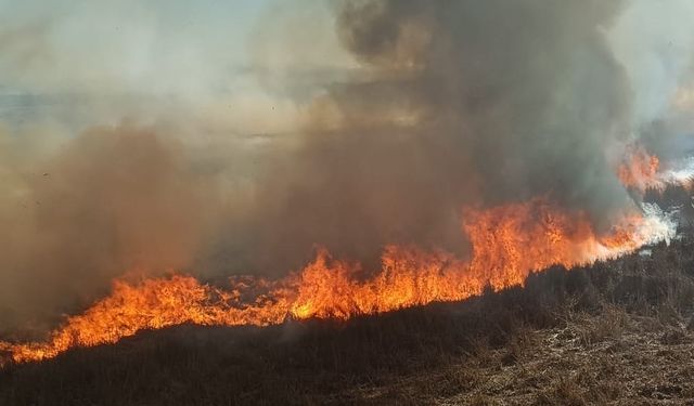 Sazlıklar alev alev yandı