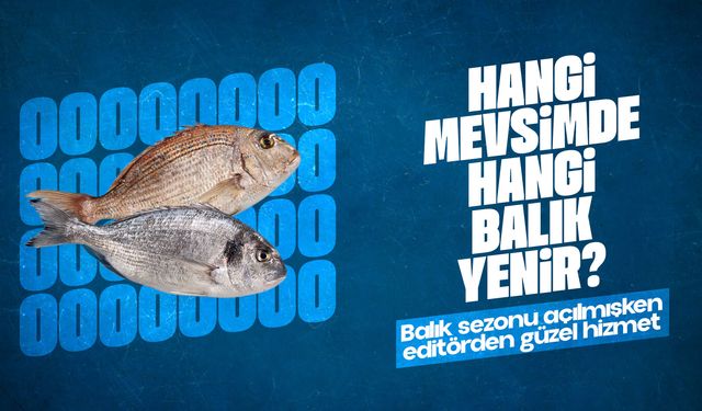 Hangi mevsimde hangi balık yenir? Balık yeme rehberi