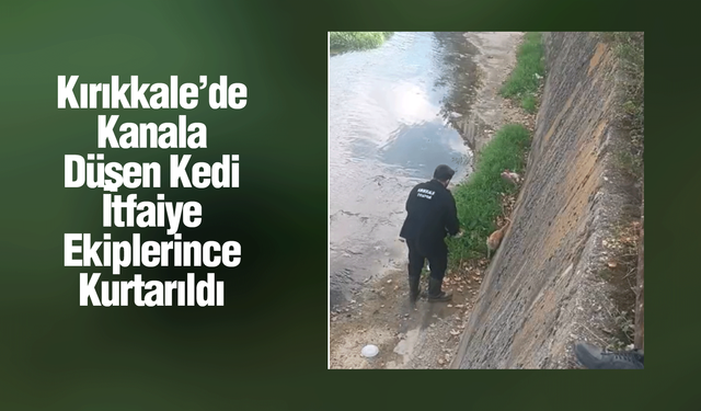 Kırıkkale’de Kanala Düşen Kedi İtfaiye Ekiplerince Kurtarıldı