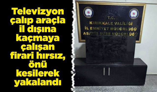 Televizyon çalıp araçla il dışına kaçmaya çalışan firari hırsız, önü kesilerek yakalandı