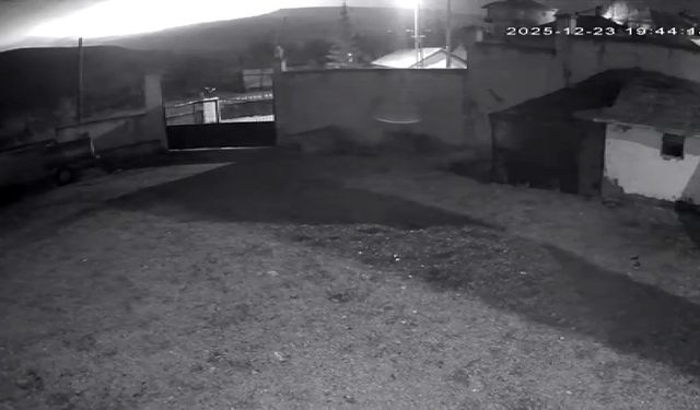 Düşen uçakla ilgili yeni görüntüler ortaya çıktı