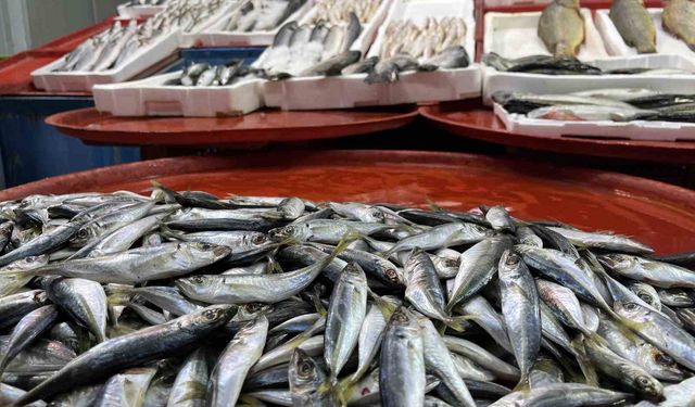 Geciken kış balığı da vurdu