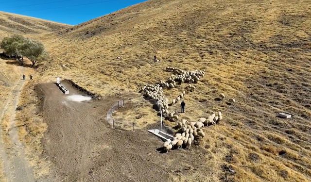 Meralara yeni hayvan içme suyu alanı kazandırıldı