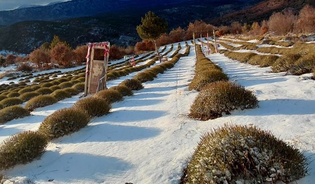 Mor bahçeler beyaza büründü, barajlara su geldi