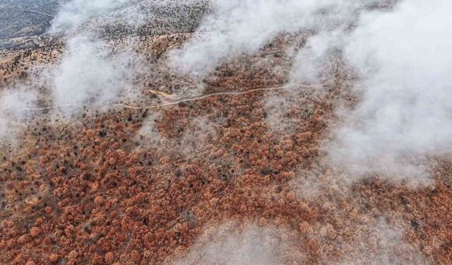 Sis ve kızıla bürünen ormanların buluşması mest etti