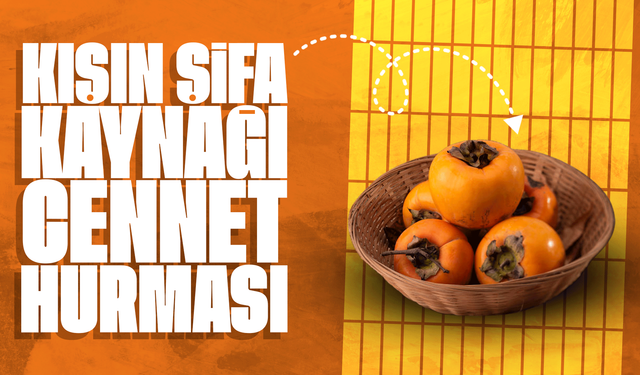 Cennet Hurmasının Faydaları: Tam Bir Kış Mevsimi Şifa Kaynağı