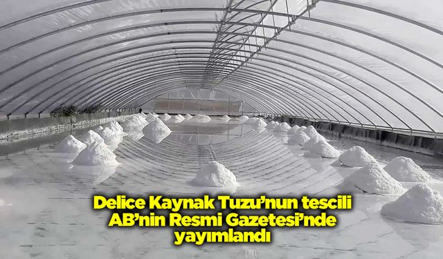 Delice Kaynak Tuzu’nun tescili AB’nin Resmi Gazetesi’nde yayımlandı