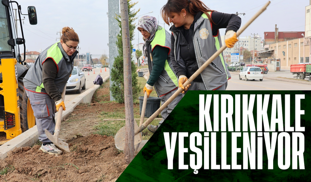 Kırıkkale Belediyesi, şehir genelinde fidan dikim çalışması yürütüyor