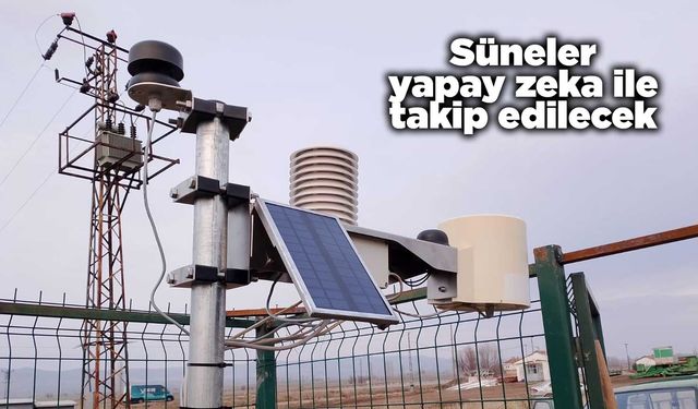 Süneler yapay zeka ile takip edilecek
