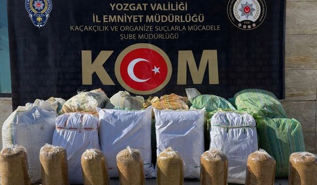 650 kilo tütün ele geçirildi