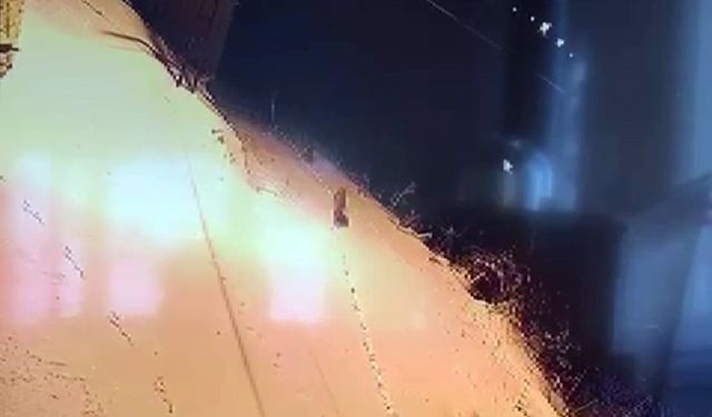 Aç kalan kurt sürüsü şehir merkezine indi