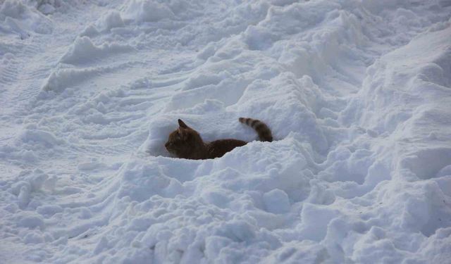 Eski kışlar geri geldi, Kızılırmak'ın yüzeyi kısmen dondu