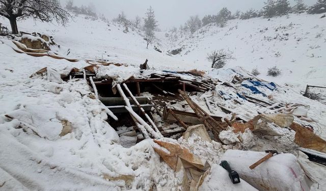 Karın ağırlığına dayanamayan ahırın çatısı çöktü