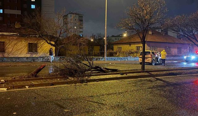 Kazada savrulan otomobil ağacı ikiye böldü: 4 yaralı