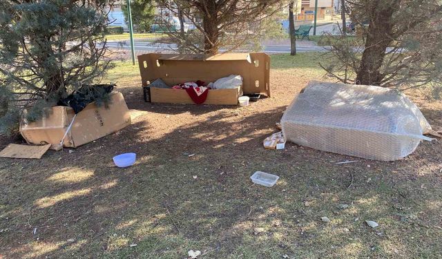 Soğuk kış şartlarında hayvanlar için korunaklı kulübeler yaptılar