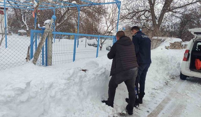 Sokak hayvanlarına mama desteği