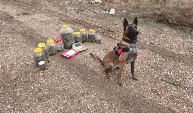 Uyuşturucu operasyonu: 1 gözaltı