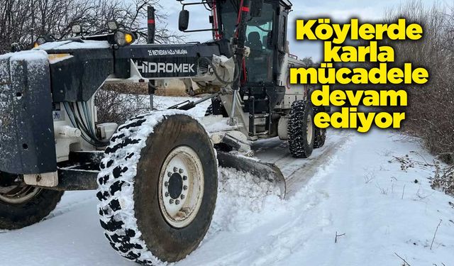 Köylerde karla mücadele devam ediyor
