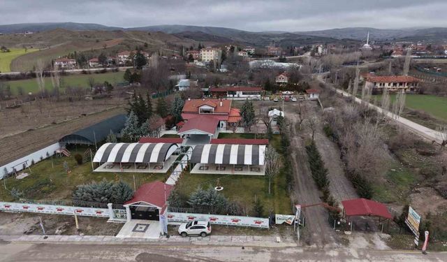 Ankaralı iki kardeş azmetti, hayallerini kır bahçesine dönüştürdü