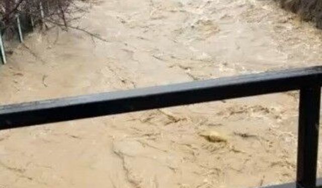 Develi'de aşırı yağış sele neden oldu, bazı ev ve ahırları su bastı