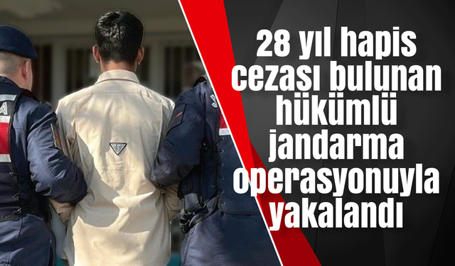 28 yıl hapis cezası bulunan hükümlü jandarma operasyonuyla yakalandı