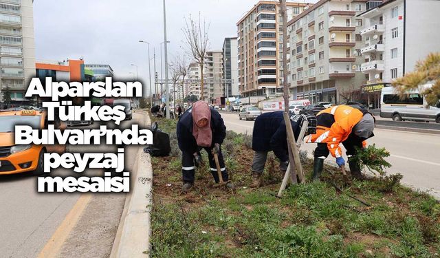 Alparslan Türkeş Bulvarı’nda peyzaj mesaisi