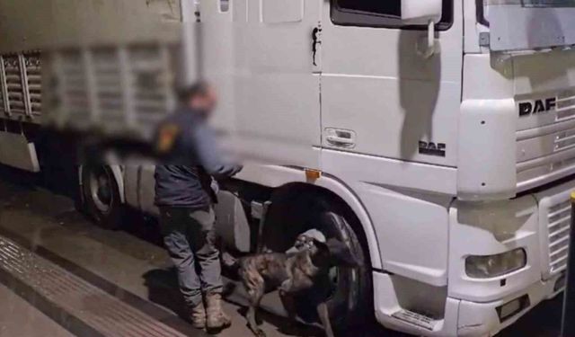 12 kilo uyuşturucu ele geçirildi: 2 tutuklama