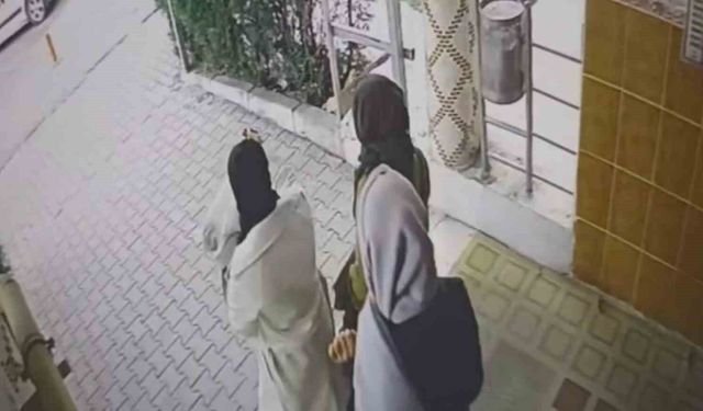 Ev fareleri kameraya yakalandı